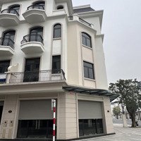 Chính Chủ Cần Bán Căn Góc Trực Diện Vườn Hoa Trục Đường Lớn Gần Chung Cư