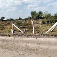 Dương Minh Châu- Tây Ninh 4 Lô 145M2 Full Thổ Khu Dân Cư Gần Hồ Dầu Tiếng Chỉ 2Xxtr Sổ Sẵn