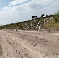 Dương Minh Châu- Tây Ninh 4 Lô 145M2 Full Thổ Khu Dân Cư Gần Hồ Dầu Tiếng Chỉ 2Xxtr Sổ Sẵn