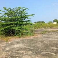 Bán đất xây dựng xưởng 2.7ha, Lộc Giang, Đức Hòa, Long An