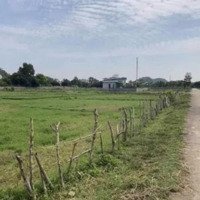 Đất Đầu Ve Lang Ca, Yên Sơn, Tam Điệp, 0853288888