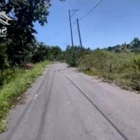 Bán Đất Sào Tại Xã Suối Rao Châu Đức, Bà Rịa Vũng Tàu