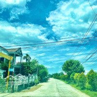 Sở Hữu Lô Đất Đầu Năm Tuyệt Đẹp, Vị Trí Dân Cư Đông Đúc