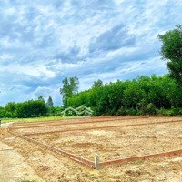 Sở Hữu Lô Đất Đầu Năm Tuyệt Đẹp, Vị Trí Dân Cư Đông Đúc