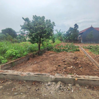Bán Đất Tại Xã Minh Trí, Sóc Sơn, Hà Nội, 1,42 Tỷ, 74M2