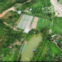 Bán Nhà Vườn Hòa Ninh 15.000M2. Có Sẵn Ao Hồ, Nhà C4, Vườn Cây Ăn Quả