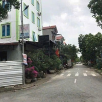 Bán Đất Bắc Hạ -Quang Tiến -Sóc Sơn Vị Trí Siêu Đẹp