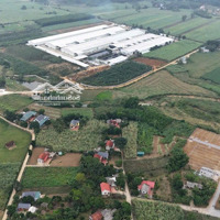 Bán Đất Nền Thổ Cư 122M2; Sát Kcn, Kcn Đang Hoạt Động - Cách Đường Mòn Hồ Chí Minh Chỉ 200 - 300M