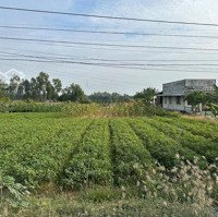 Bán 2,677M2 Mặt Tiền Sông Mekong Cách Sg 70Km, Sẵn 200M2 Thổ Cư, 1 Tỷ 799 Triệu