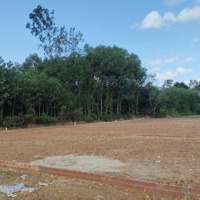 Bán Đất Tại Xã Bình An, Thăng Bình, Quảng Nam, 200 M2