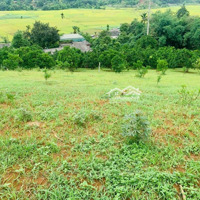 Cần Bán 2000M2 Có 200M2 Thổ Cư, View Toàn Bộ Cánh Đồng Tại Mỹ Hòa, Tân Lạc