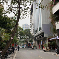 Bán Tòa Nhà Mặt Phố Bùi Thị Xuân, Diện Tích 105M2 X 8 Tầng Thang Máy, Vỉa Hè Rộng, Ô Tô Dừng Đỗ.