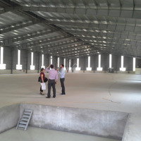 Cho Thuê Kho Xưởng Văn Lâm, Hưng Yêndiện Tích500M2 150.000M2 Khuôn Viên Riêng Biệt, 55 Nghìn/M2/Th