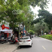 Biệt Thự Xa La, 120M2X4T, Nhà Đẹp, Ở Sướng, Cách Phố Hạnh Hoa 100M, Giá Nhỉnh 20 Tỷ