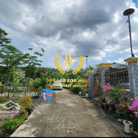 Chính Chủ Gửi Bán 1200M2 Đất Phủ Hồng Xã Đồi 61, Ngay Tổng Kho 640Ha, Chỉ 2,7 Tỷ Thương Lượng