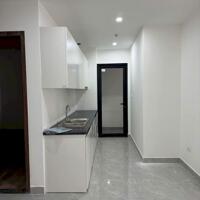 Cho thuê căn hộ 2 ngủ không đồ mới tinh tại dư án 384 Lê Thánh Tông. LH: 0989.099.526.