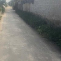Chính Chủ Bán 1 Lô Duy Nhất Ở Phù Cừ Hưng Yên 440M2 Giá Chỉ 8. 5 Triệu/M2 Giá Cực Ưu Đãi