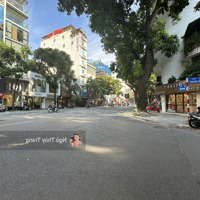 Siêu Phẩm Mặt Phố Huế 245M2, Mặt Tiền 9M, Ví Trí Đỉnh Thích Hợp Xây Toà Nhà Buding, Hotel 5 Sao