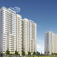 Cho Thuê Gấp Chcc Lotus Garden , 2 Phòng Ngủ 1 Vệ Sinh, Diện Tích: 71M2 , Giá 10 Triệu/Th Q.tân Phú