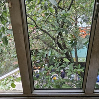 Cho Thuê Nhà Mặt Phố Hàng Cá, 35 Triệu, 30 M2, View Đẹp Chỉ Với
