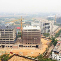 Bán Đất Dịch Vụ Kim Hoa, Mê Linh Đối Diện 9 Tòa Chung Cư, Đường 20M, Kinh Doanh Đỉnh, Sổ Đỏ Sẵn!