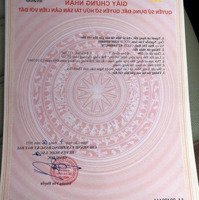 Bán Đất Đẹp 137M2 Mặt Đường Liên Xã, 280 Triệu Tại Trung Tâm Xã Cao Ngọc, Ngọc Lặc, Thanh Hóa
