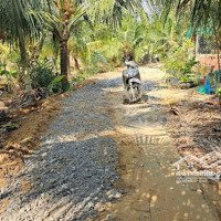 Bán Gấp 2 Lô Thổ Cư Liền Kề Nền Cao, Cách Nhựa 400M, Giá Tốt