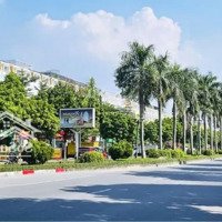 6 Triệu-65M, 15 Triệu-150M, 200M, 300 Cho Thuê Lâu Dài, Ngày 10 (Làm Vp, Kho) Gleximco Đường Lê Trọng Tấn