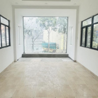Quận 10 - Vị Trí Kinh Doanh Đắc Địa -Diện Tích50M2 - 7 Tầng Có Hầm - Thang Máy - Vỉa Hè 8M - Nhỉnh 20 Tỷ