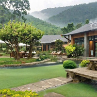 Mảnh Đất 1000M2 Suối View Thung Lũng Tuyệt Đẹp Góc Trời Bình Yên Chỉ Dành Cho Người Yêu Thiên Nhiên