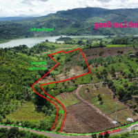 Bán Lô Sát Suối Có Thác Nước Đất View Sông Tân Phú, Di Linh, Diện Tích (1 Hecta)