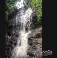 Bán Lô Sát Suối Có Thác Nước Đất View Sông Tân Phú, Di Linh, Diện Tích (1 Hecta)