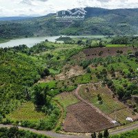 Bán Lô Sát Suối Có Thác Nước Đất View Sông Tân Phú, Di Linh, Diện Tích (1 Hecta)