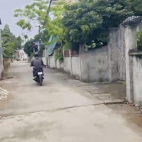 Bán Đất Đẹp Tại Liên Thôn, 480 Triệu, 78 M2, Thủy Nguyên, Hải Phòng