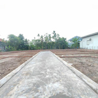 Bán Đất Đẹp Tại Liên Thôn, 480 Triệu, 78 M2, Thủy Nguyên, Hải Phòng