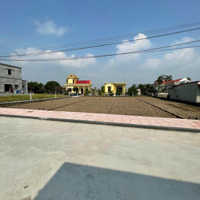 1Tỷ Đất 89M2 Full Thổ Cư Gần Bãi Tắm Và Quảng Trường Công Viên Biển Quất Lâm Giá 11. 6 Triệu/M2 Sẵn Sổ
