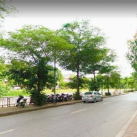 Bán Nhà Mặt Phố Nguyễn Khang 35M2 Phù Hợp Kinh Doanh, Vị Trí Trung Tâm Sầm Uất Liên Hệ 0984.847.186