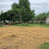 BÁN LÔ ĐẤT 1681M 200 THỔ CƯ BÁM TRỤC ĐG LIÊN XÃ NHUẬN TRẠCH GIÁ 6.XTR/M