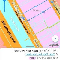 Đất Nằm Mặt Tiền Đường Xuân Thới Sơn 12