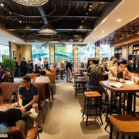 Cho Thuê Mặt Bằng Kinh Doanh Mặt Tiền 5M, Diện Tích 50M2 X 4 Tầng Tại Phạm Ngọc Thạch, 40 Triệu/ Th