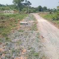 Đất Shr 1/ Kênh Đá Hàn Thuộc Ấp 9 Xã Bình Mỹ, Củ Chi Hcm.diện Tích5X32M = 137,9M2 Sổ Mới Tách