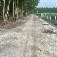 BÁN 2 LÔ ĐẤT MẶT TIỀN XE TẢI GIÁ RẺ NHẤT KHU VỰC XUÂN ĐÔNG-CẨM MỸ