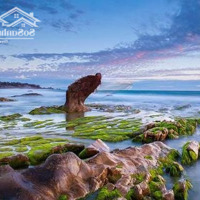 Đất Biển Cổ Thạch, Bình Thuận, Giá Đầu Tư