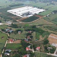 Đầu Tư Ngay Lô Đất Giá Được Giảm Cực Sốc Chỉ 2Xxtr Có Ngay Đất Đô Thị Thạch Quảng - Sát Kcn
