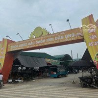 1 Lô Siêu Phẩm Đã Có Sẵn Nhà 3 Tầng Cho Thuê, 2 Mặt Đường Trước Sau, Kinh Doanh Tốt 0943703689