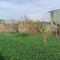 Đất Đường Bình Mỹ Gần Vành Đai 3, Ô Tô Thông (10X12,5M), 550 Triệu