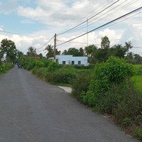 Bán Gấp Đất Tại Đường 11, Xã Bình Tân, Gò Công Tây, Tiền Giang, Giảm Còn 2,3 Tỷ, 1670 M2