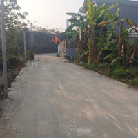 Nhỉnh 600 Triệu, 102,2M Đất Tân Bình, Xuân Mai, Chương Mỹ, Hà Nội, Sầm Uất, Ô Tô, Kinh Doanh