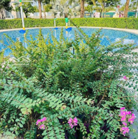 Cắt Lỗ 1 Tỷ Nhà Phố 160M2 Aqua City Chỉ 6.6 Tỷ Nhận Nhà. Biệt Thự Góc Chỉ 9.9 Tỷ 200M2 Sát Sông