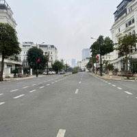 Cho Thuê Nhà Kđt Louis Đại Mỗ, Hà Đông.diện Tích100M2, 5 Tầng Thông Sànmặt Tiền6M, Có Đh, Thang Máy Giá 35 Triệu